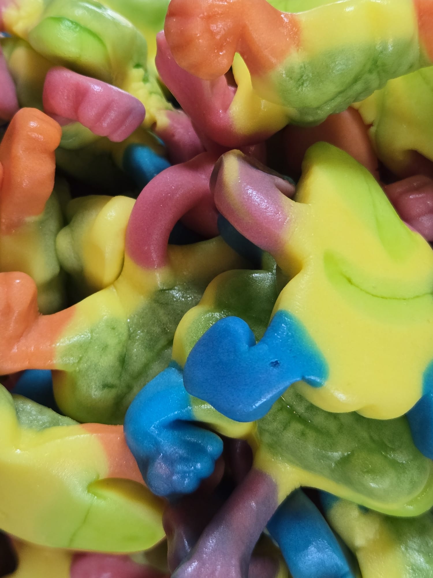 VD  Tropical Frogs.jpg